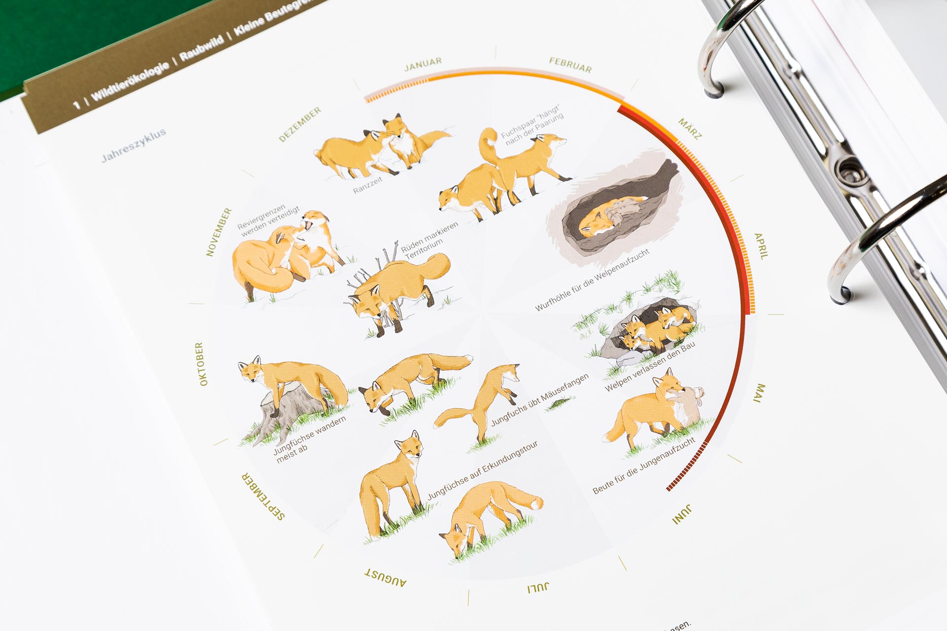 Tiroler Jägerverband — Illustration